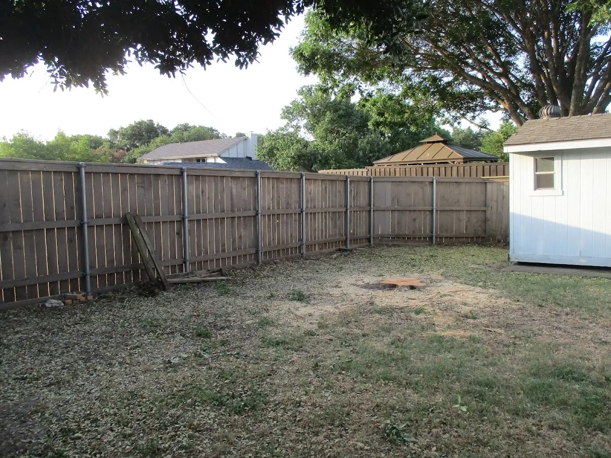 Cleared yard after professional tree removal in Masontown